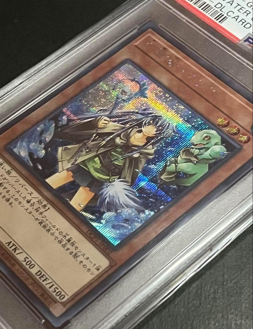 ○【PSA10:鑑定66枚】水霊使いエリア 遊戯王