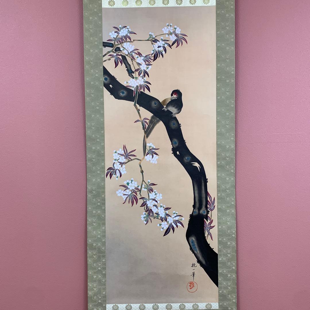 美品 掛け軸 酒井抱一筆 桜に雉子図 花鳥十二か月 二重箱