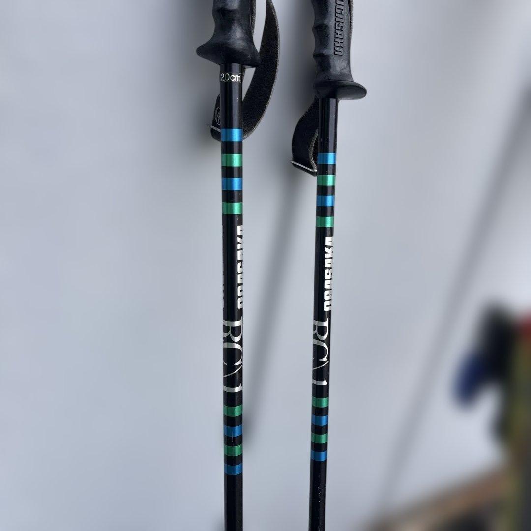 SALOMON Demo 9 3V スキー板　155 ストックとケース付