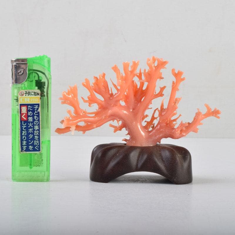 まんぼー　中国　赤珊瑚　サンゴ　置物　唐木台・ケース付　V　9075