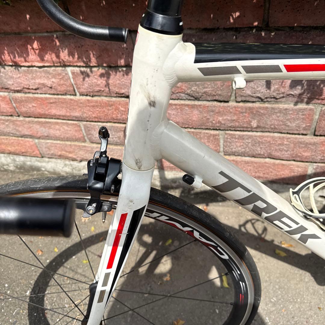 自転車本体 TREK 1.1 Campagnolo Scirocco 35mm