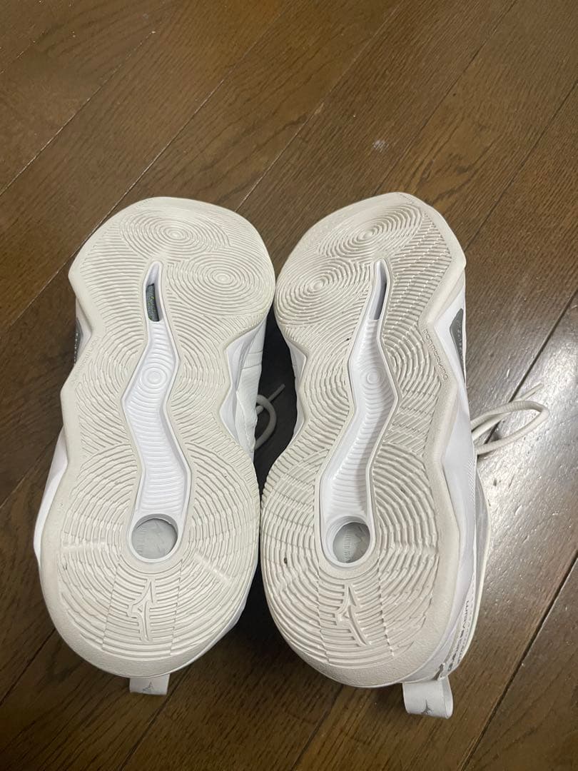Mizuno ウェーブディメンション 26.5cm
