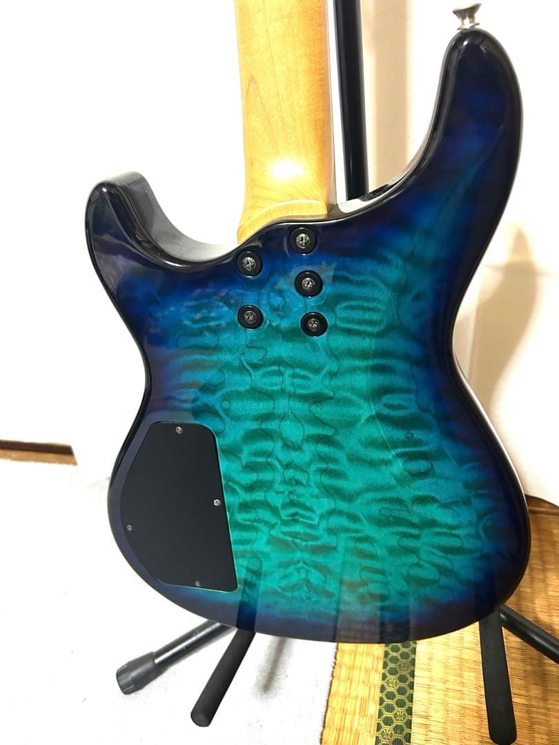 エレキギター FERNANDES APG-65 HAGANEメンバーサイン入り
