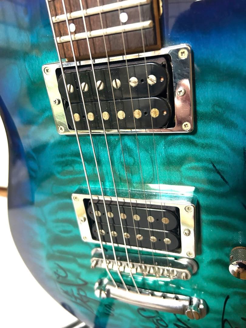 エレキギター FERNANDES APG-65 HAGANEメンバーサイン入り