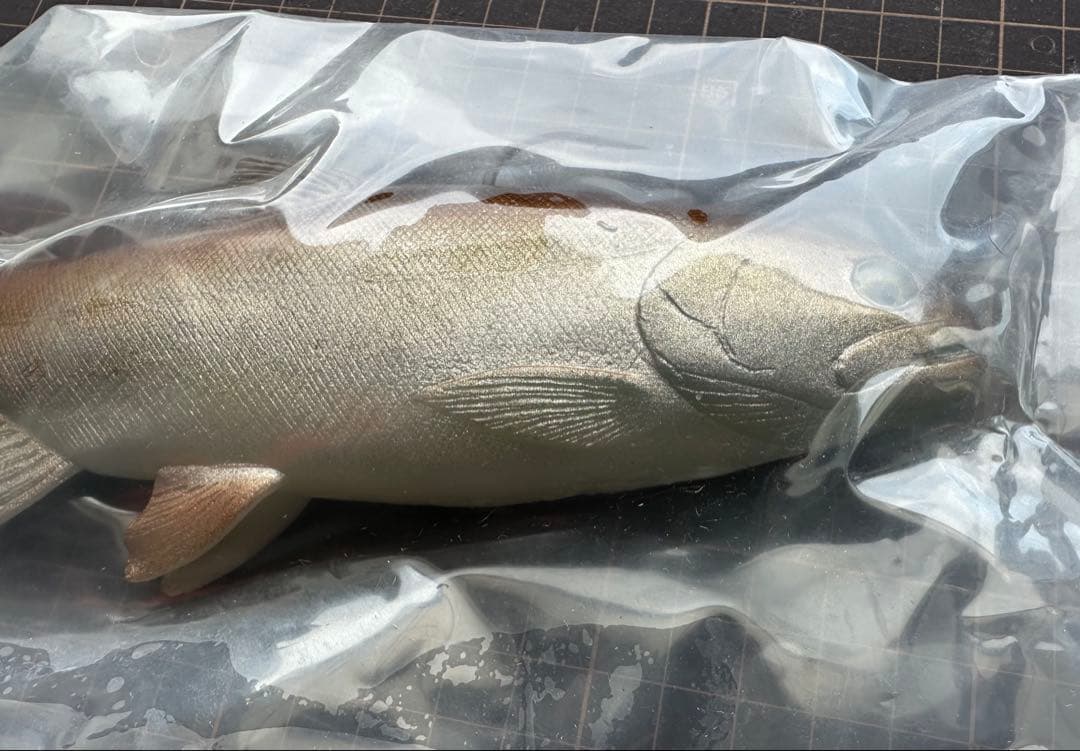 ど*い様 ハドルトラウト 8インチ ROF12 ハドルストン