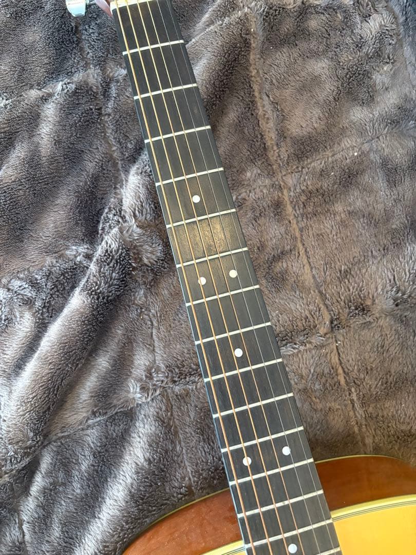 アコースティックギター morris M-11NAT