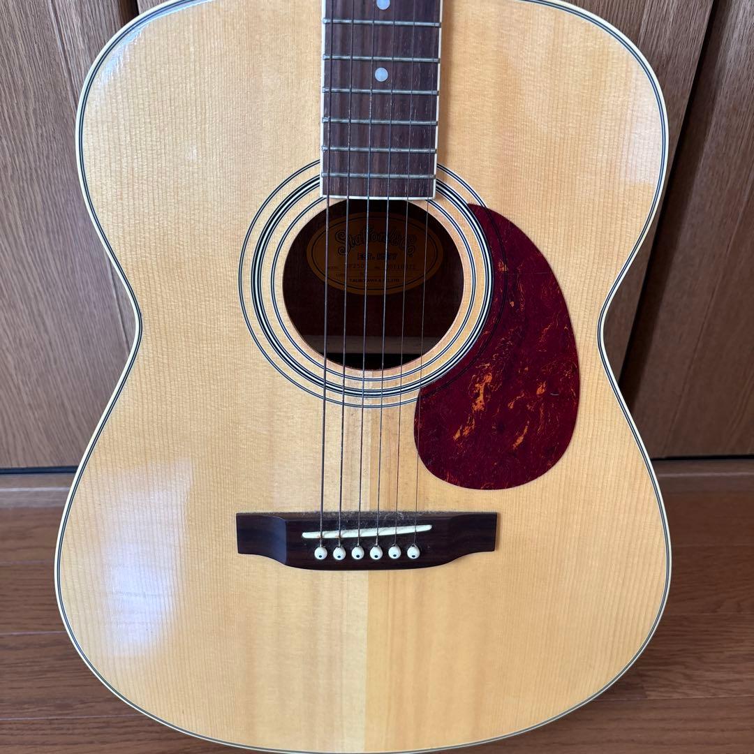 Stafford SF-250Fギター ケース付