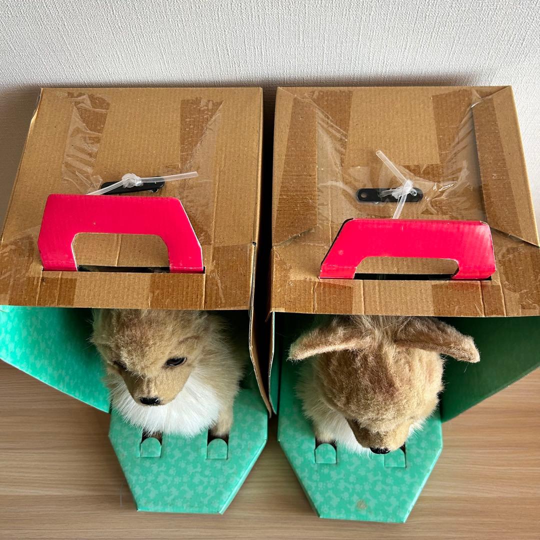 【未使用】 夢いぬ　チワワ　ブラウン　セット　当時物　レトロ