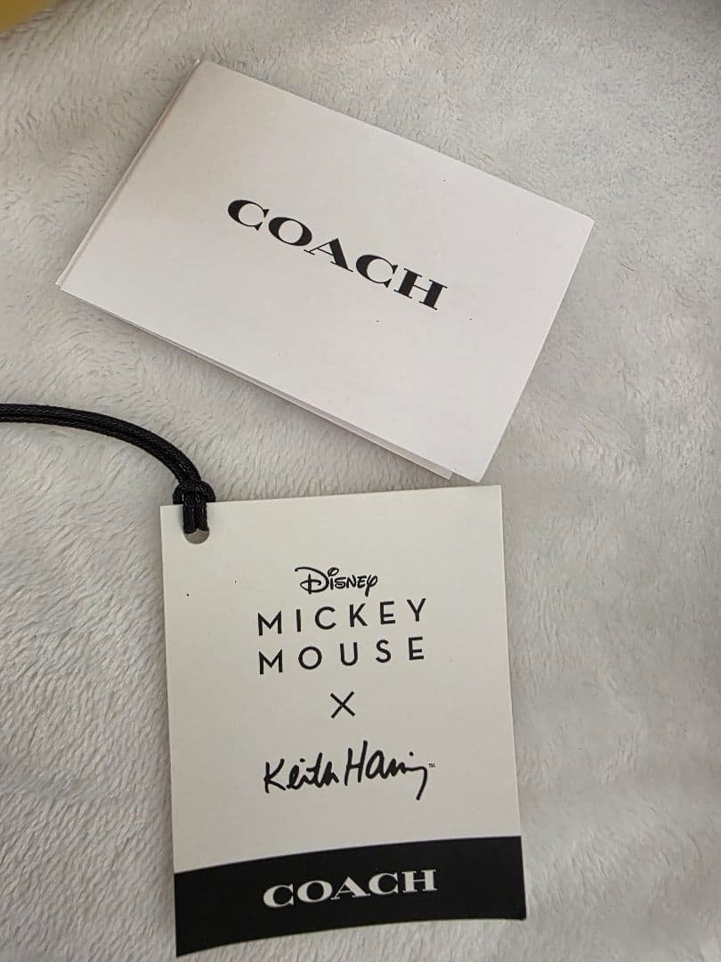 COACHキース・ヘリング ミッキーマウス ぬいぐるみ