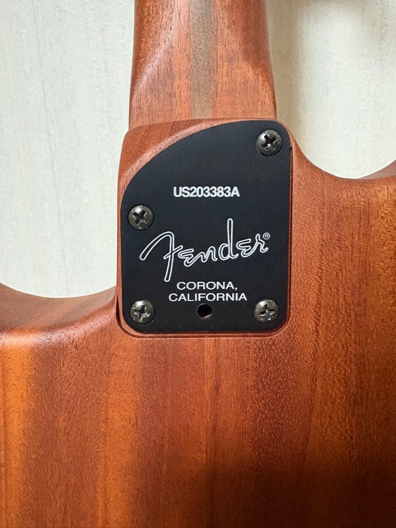 Fender USA Acoustasonic Strat（Natural）