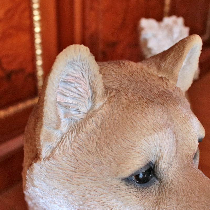 柴犬オブジェ エクステリア ガーデンオブジェ イヌ 犬 置物 375-269