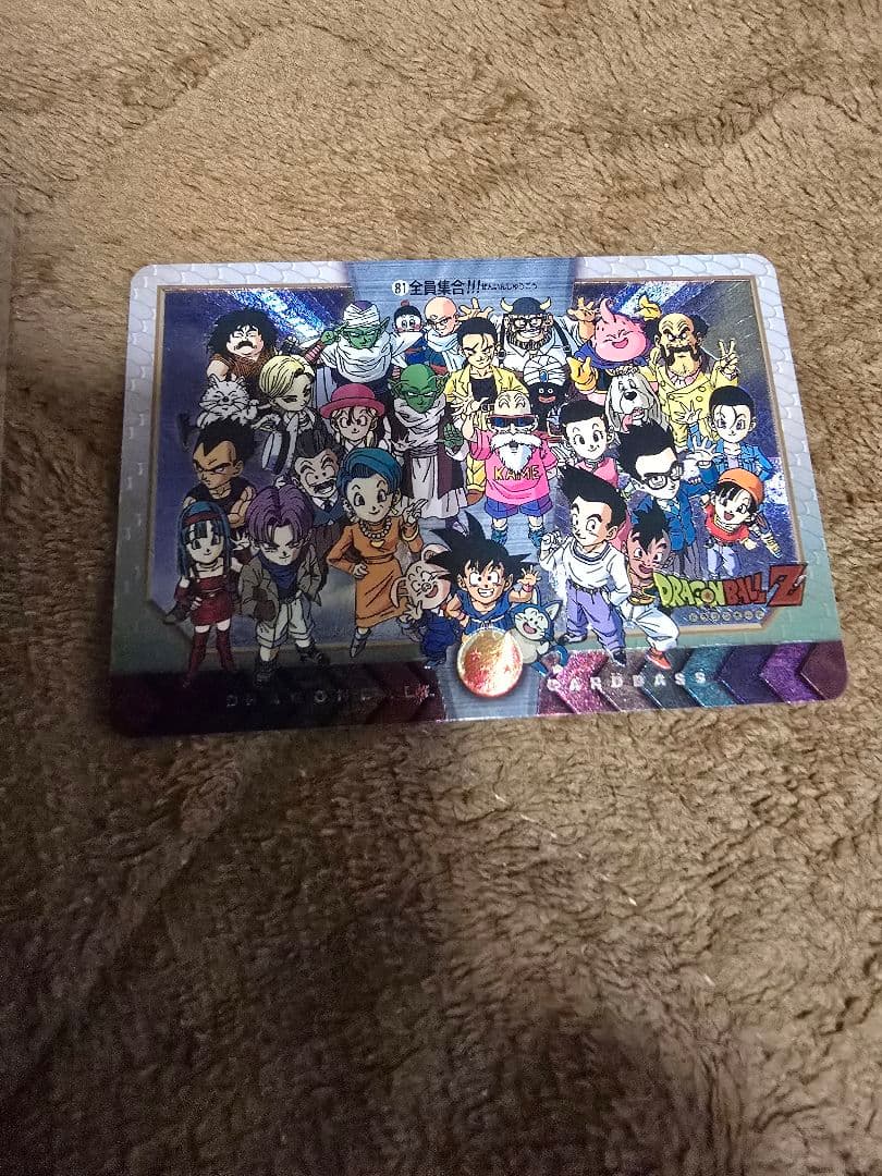 ドラゴンボールカードダスNO,81 美品