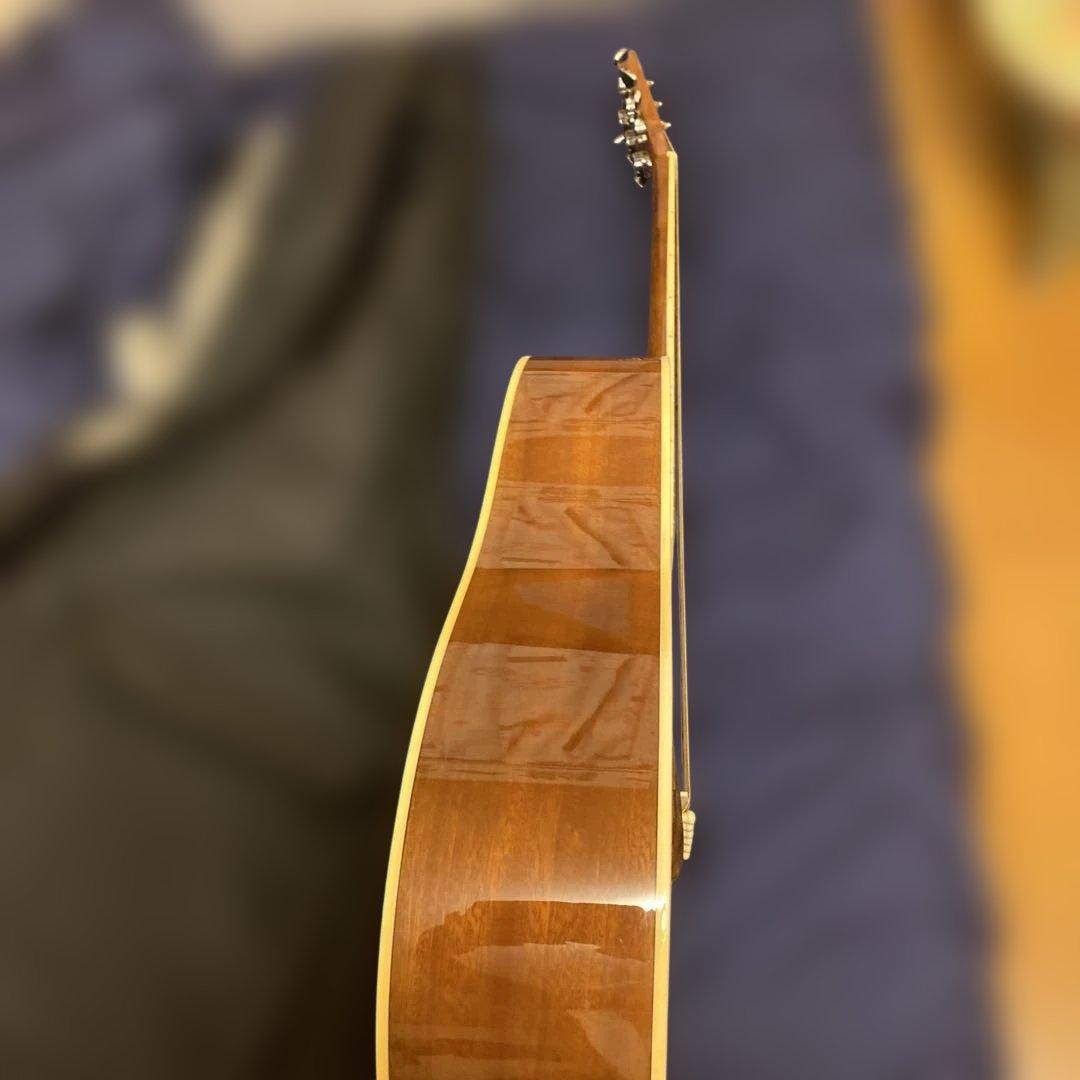 Sepia Cruz WG-10 N アコースティックギター