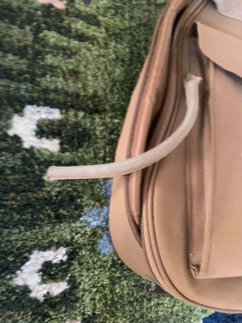 Baby Taylor アコースティックギター