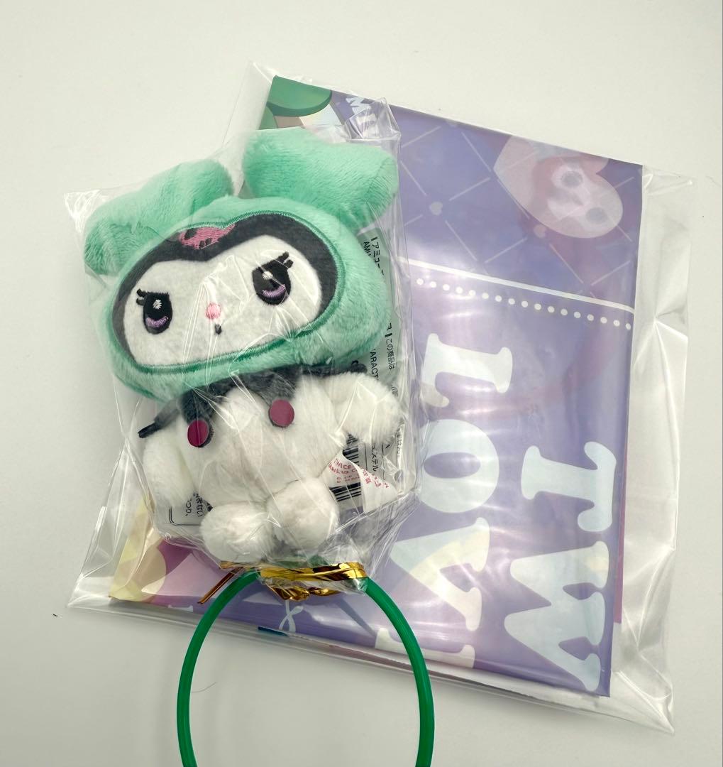 TWICE LOVERYS ミナ　ぬいぐるみスリッパ＆マスコット　GIGO限定