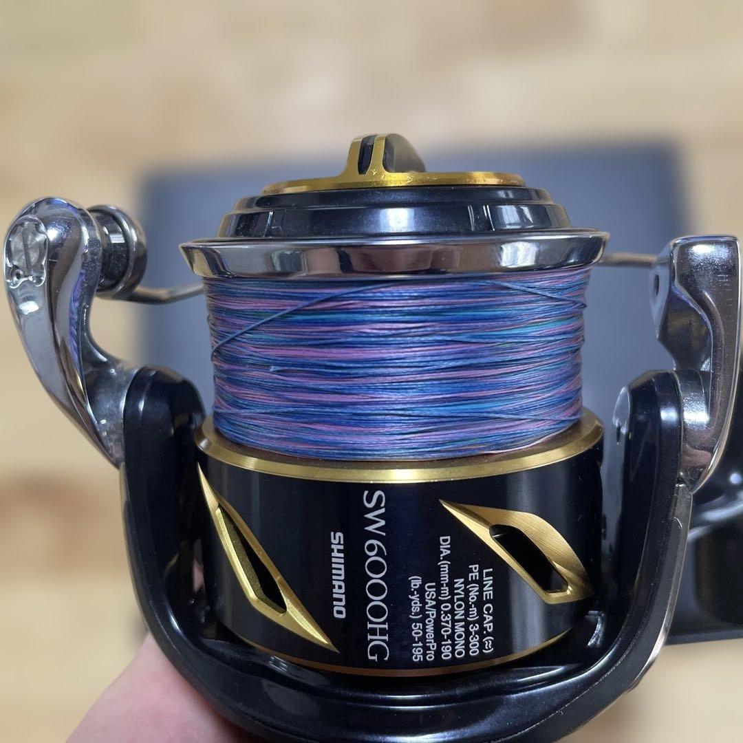 リール 20STELLA SW 6000HG