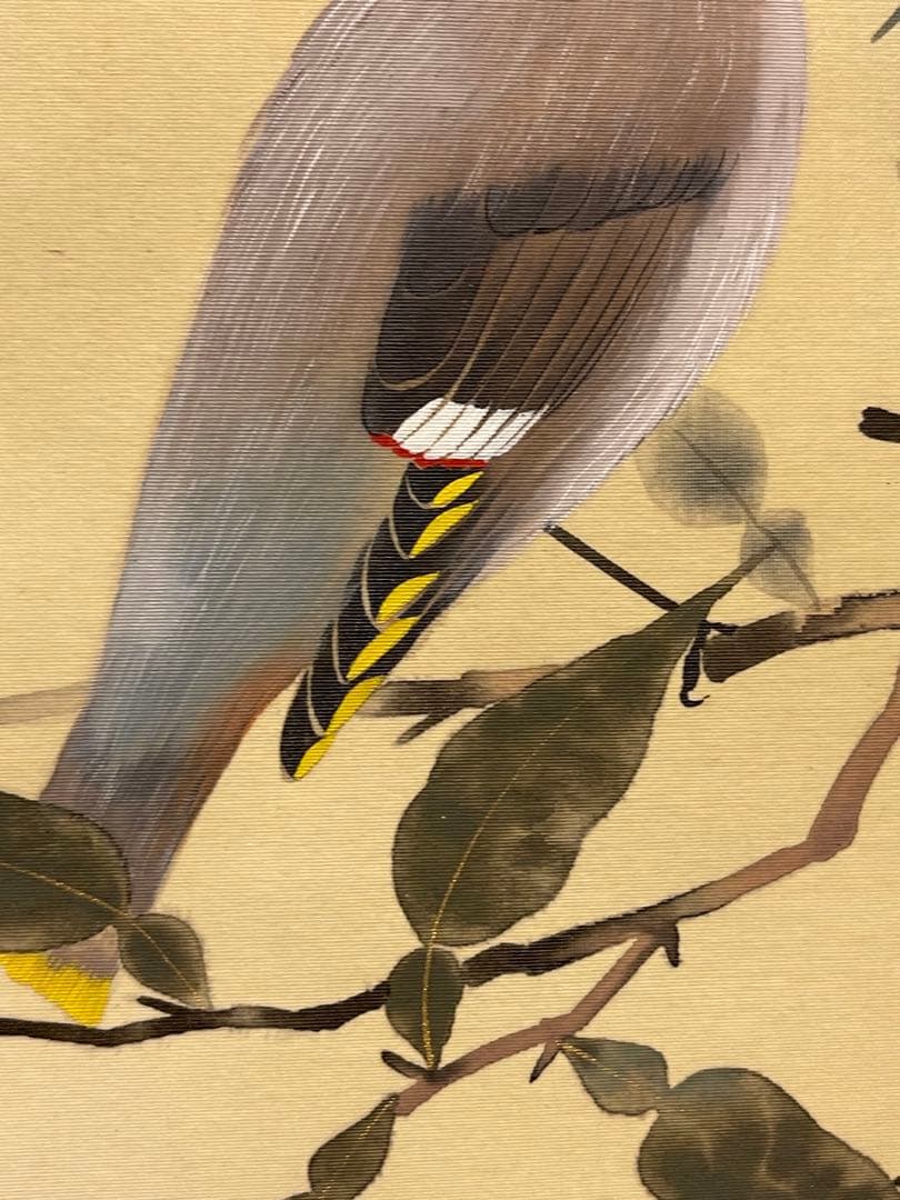 華月「柚小禽」絹本 掛け軸 掛軸 絵画 茶掛 花鳥図 日本画