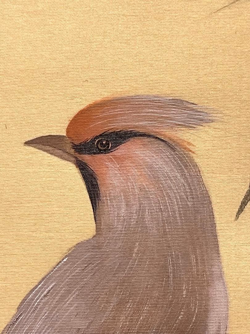 華月「柚小禽」絹本 掛け軸 掛軸 絵画 茶掛 花鳥図 日本画