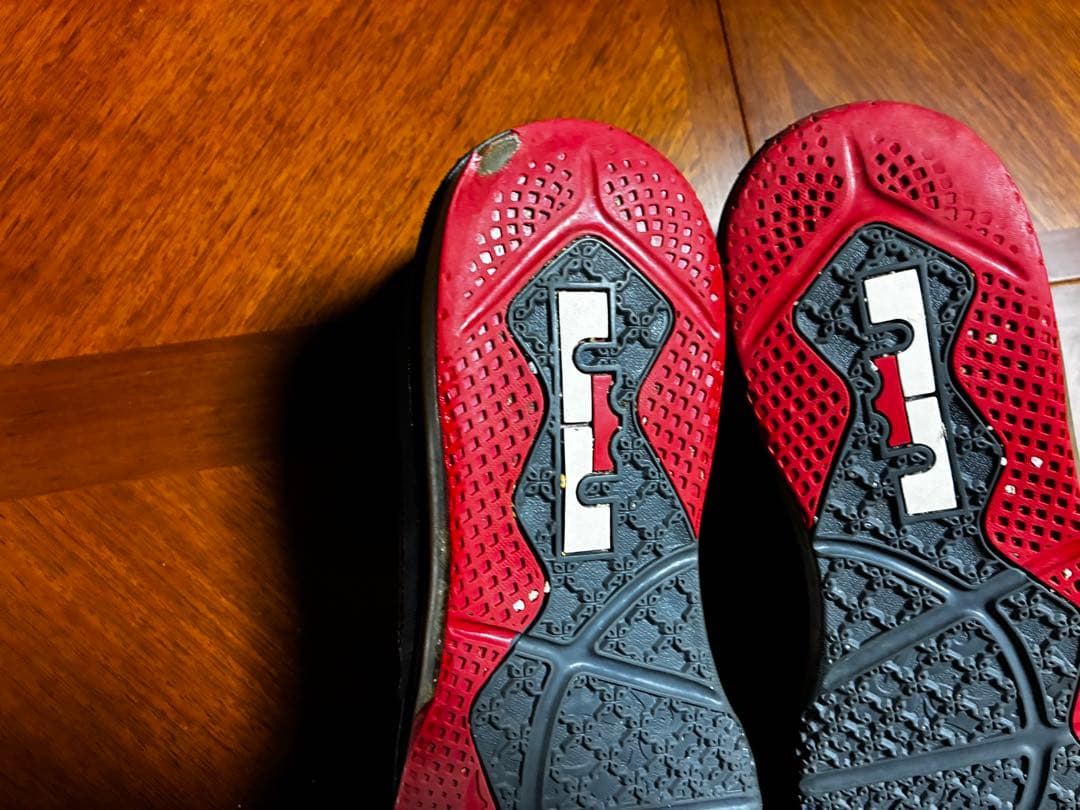 NIKE ナイキ　LeBron 9 Low Bred レブロン