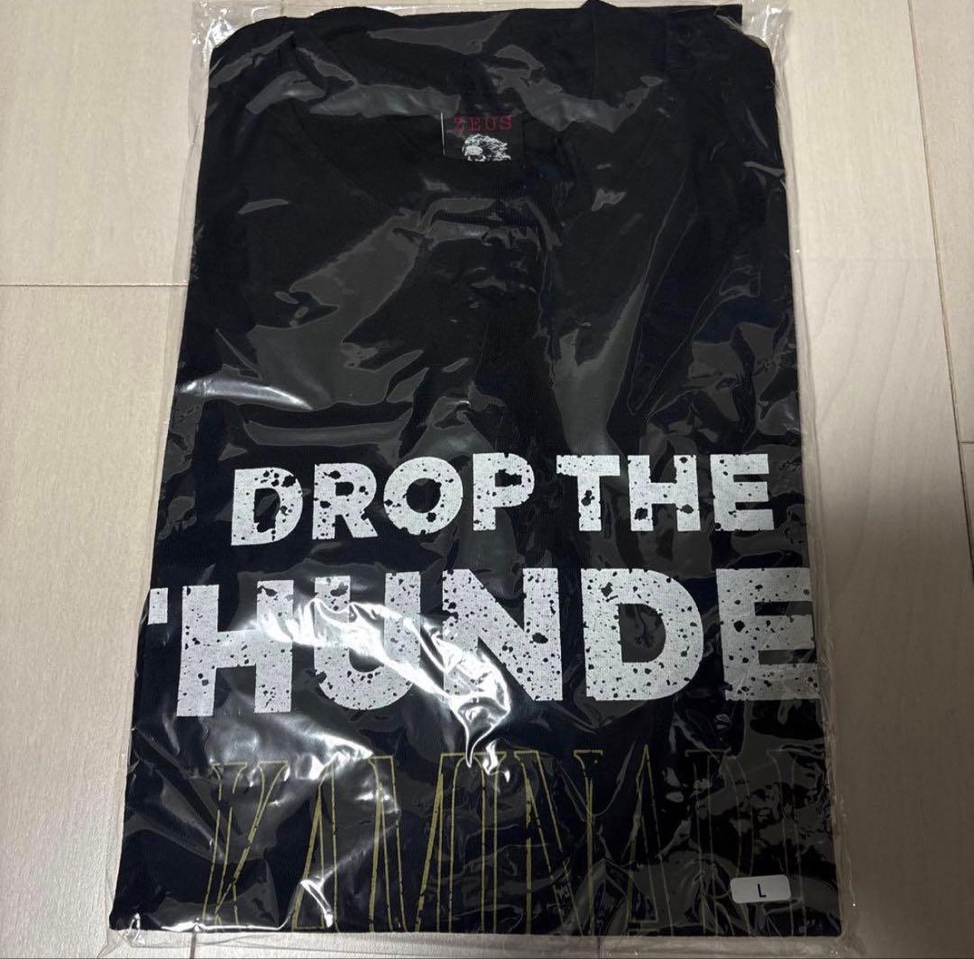 RIZE ZEUS DROP TEE L Tシャツ JESSE BONEZ