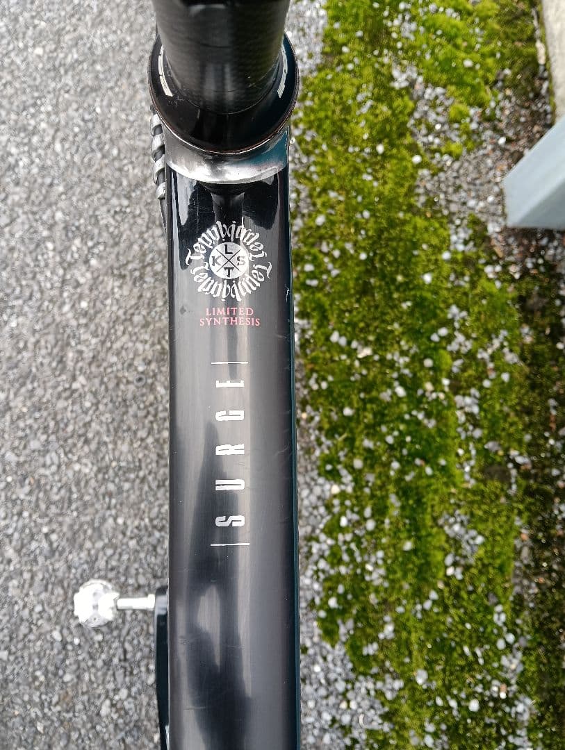 tern surge Ltd.　ミニベロ