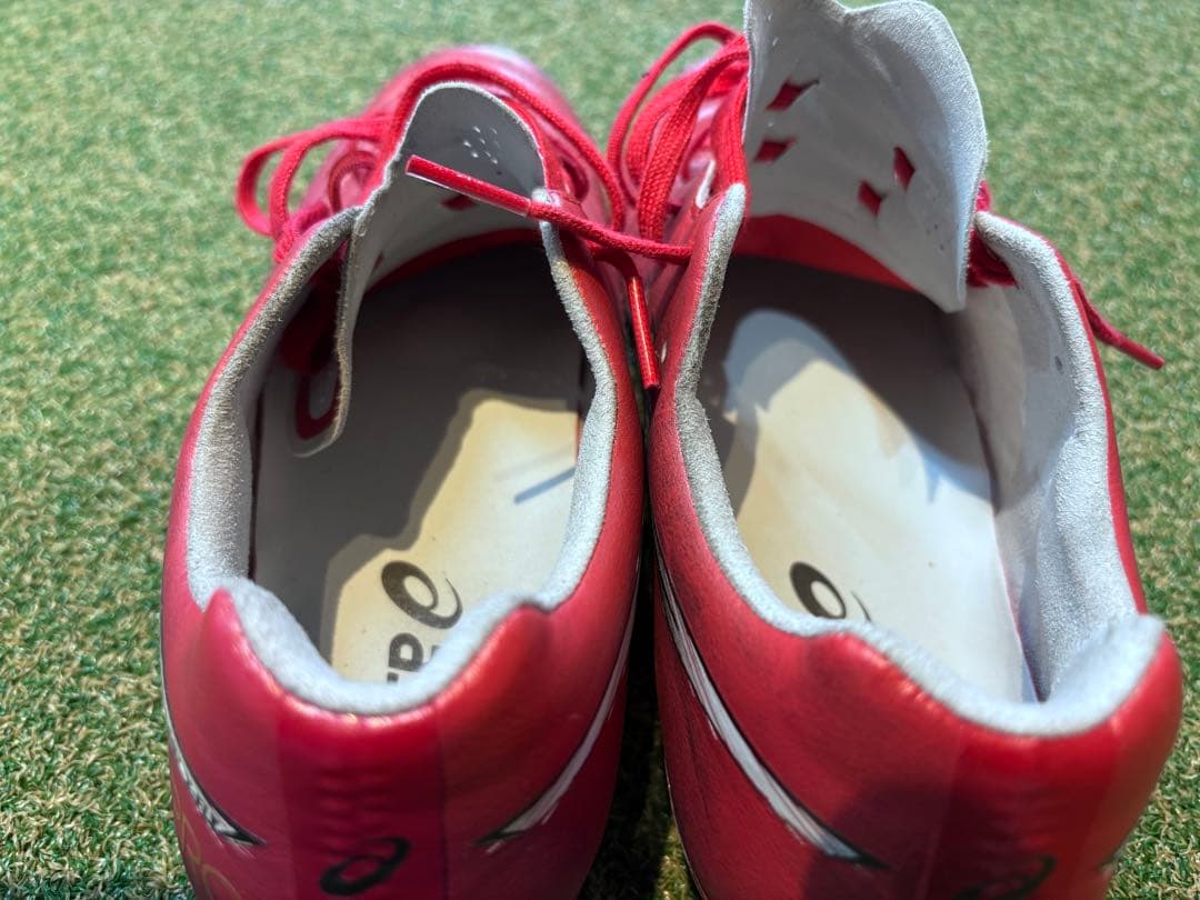 asics(アシックス) メンズ DS LIGHT X-FLY PRO 3
