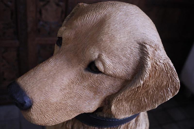 \"飼い主さん\"募集中【犬】ゴールデンレトリバー置物】大型犬
