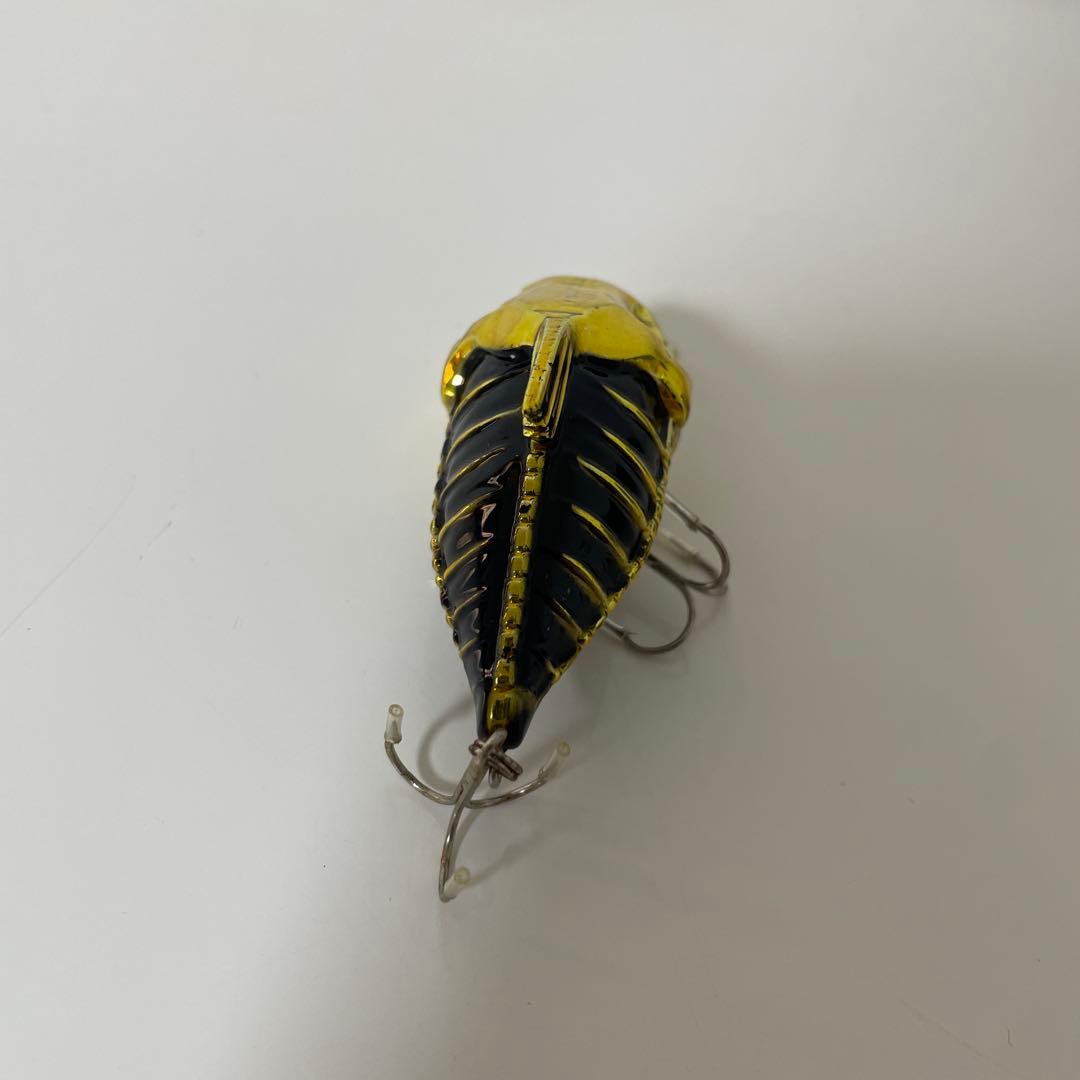 ジースケルトン　限定カラー