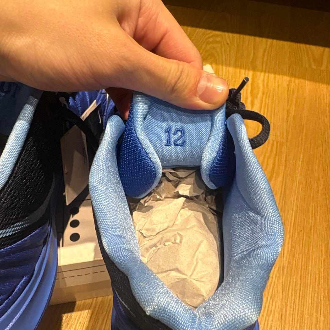 渡邊雄太直筆サイン入り　NIKE カイリー5 デューク大　渡邊雄太限定モデル