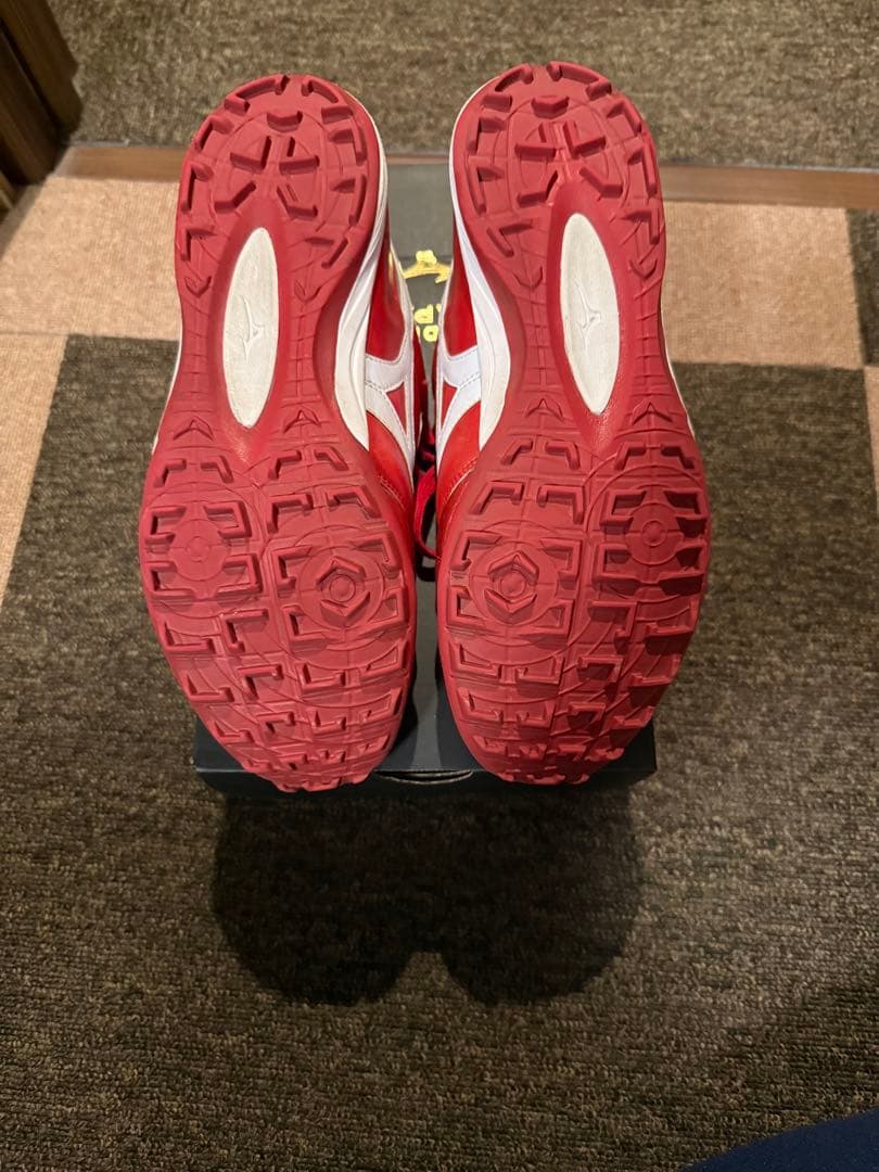 シューズ Mizuno Morelia Sala Japan TF 26.0cm