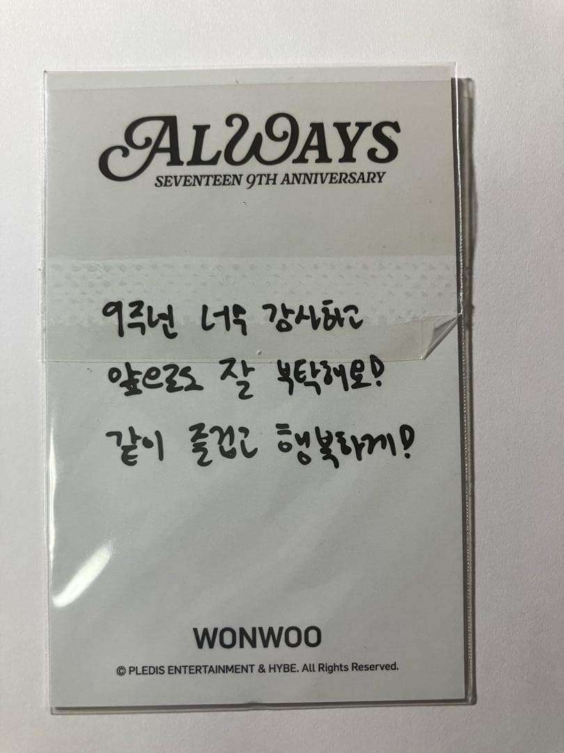 SEVENTEEN ウォヌ ネックレス 9th ALWAYS トレカ付き