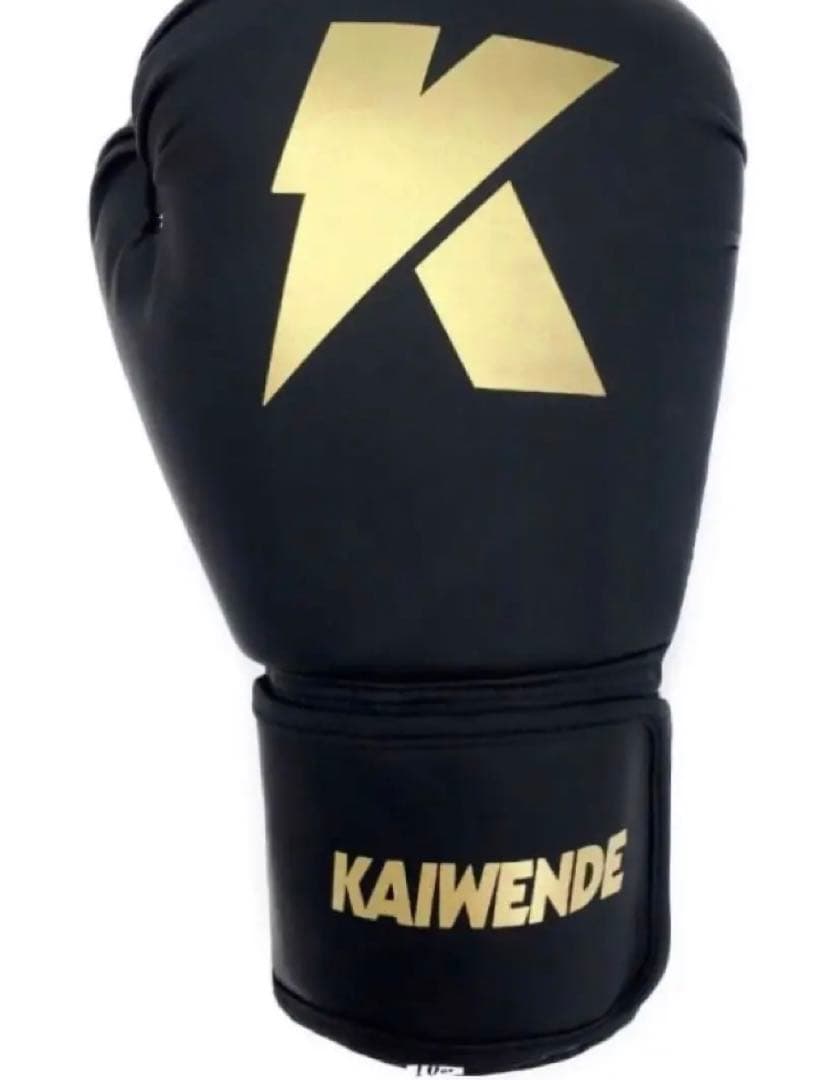 ボクシンググローブ  KAIWENDE-BX01  2セット