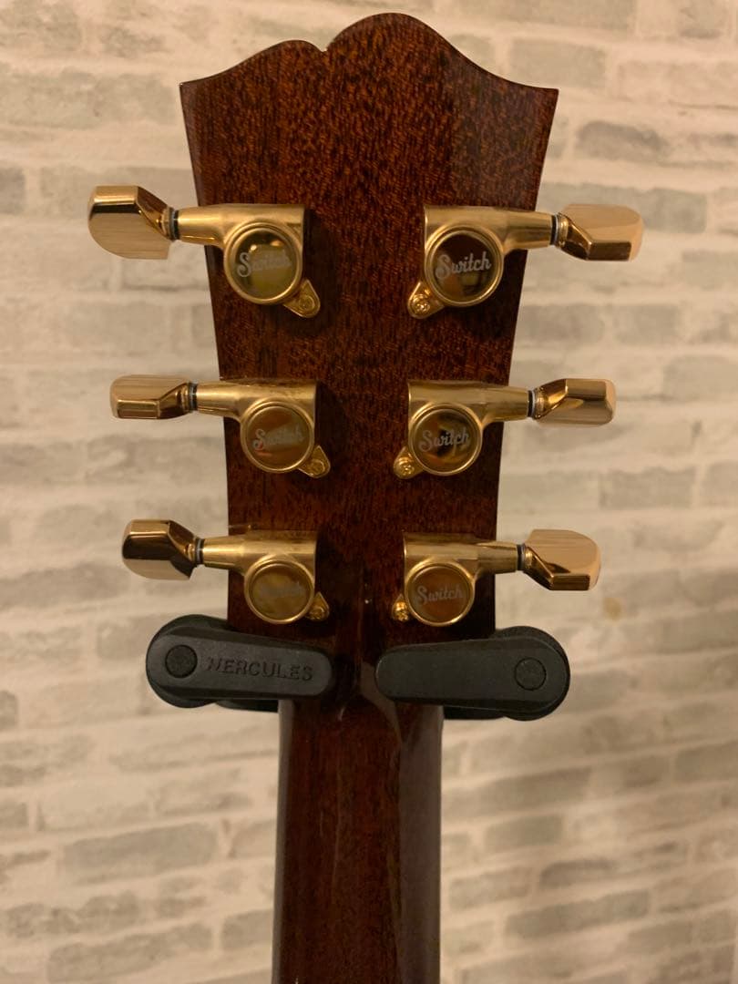 SWITCH D-70C ・switch custom guitar スイッチ