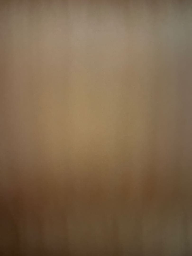 【専用出品】