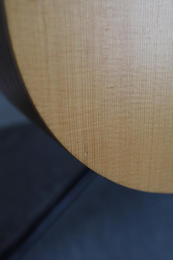 Seagull Excursion Walnut SG カナダ製　アコギ