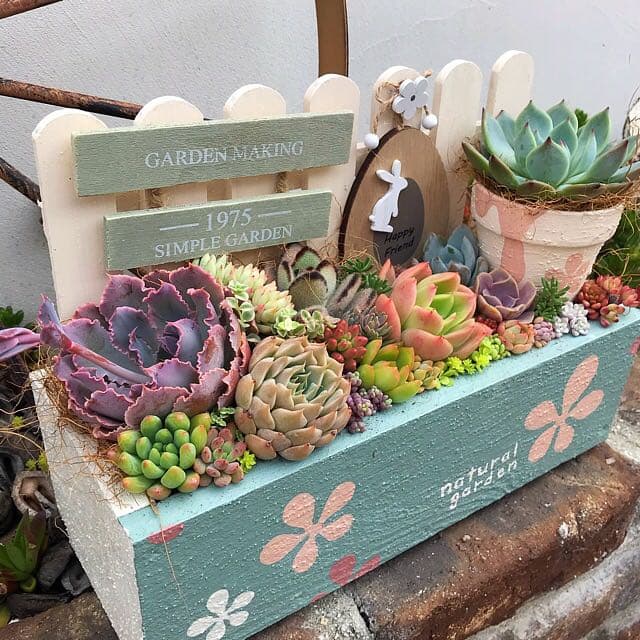 ★多肉植物　寄せ植え〜flower 木箱寄せ　大　リメ鉢付き♡〜★