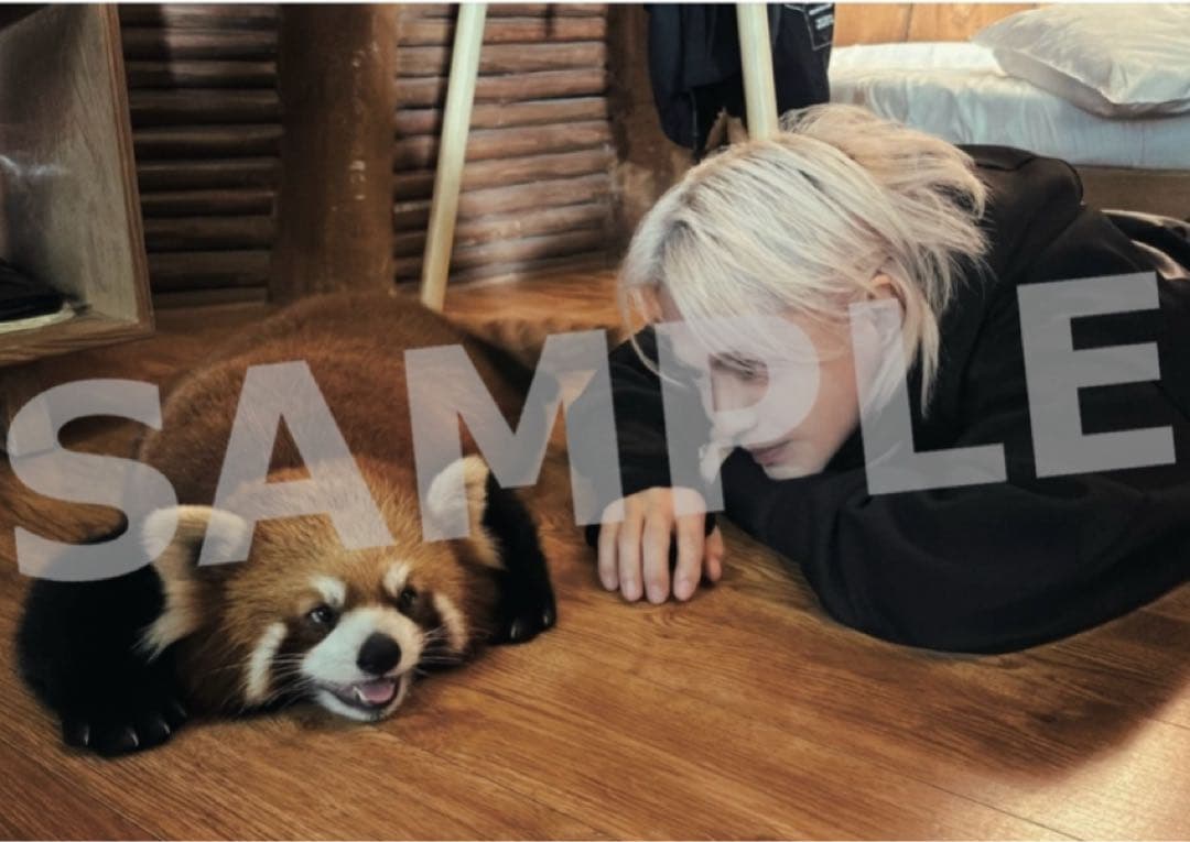 HYDE MEKURI 2026 卓上カレンダー　撮り下ろし写真　メクリ　めくり