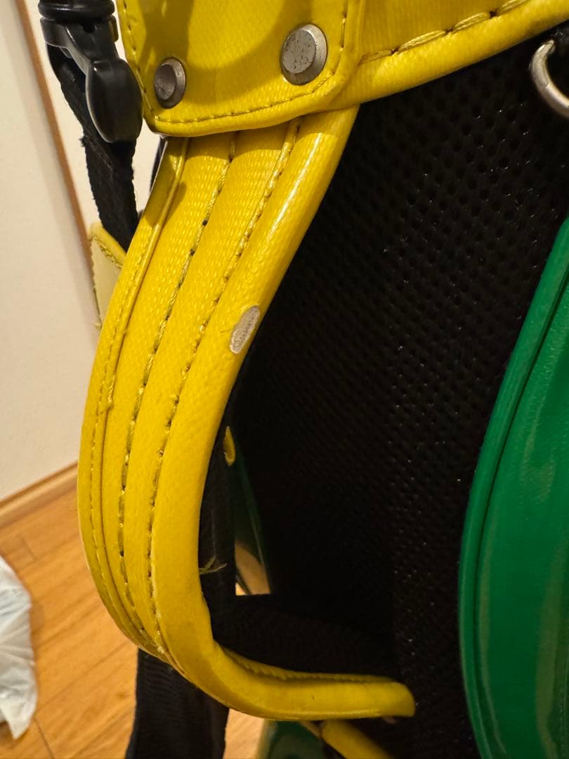 ❗️限定❗️Mizuno キャディバッグ