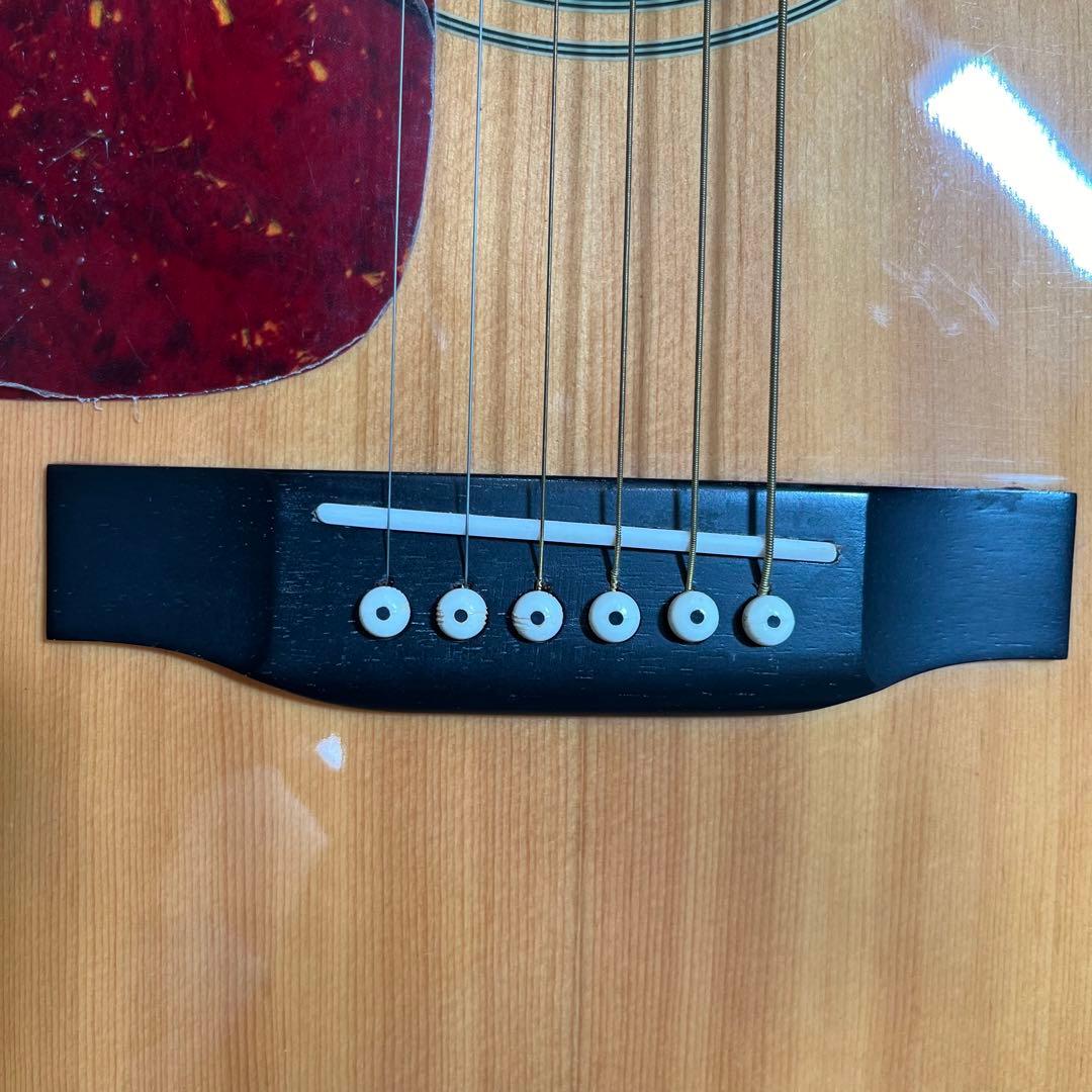 【左利き用】Morris MD-302LHN アコースティックギター　モーリス