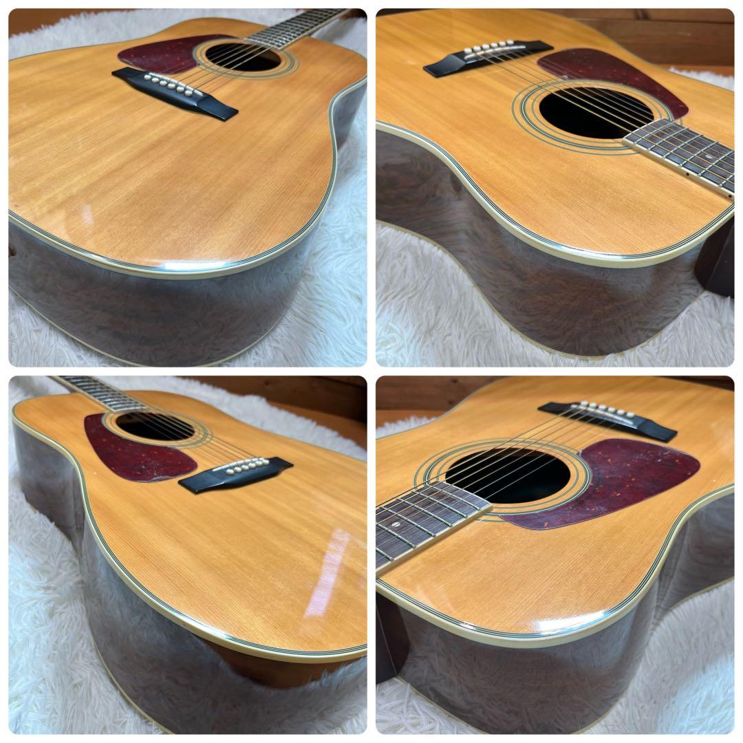 【左利き用】Morris MD-302LHN アコースティックギター　モーリス