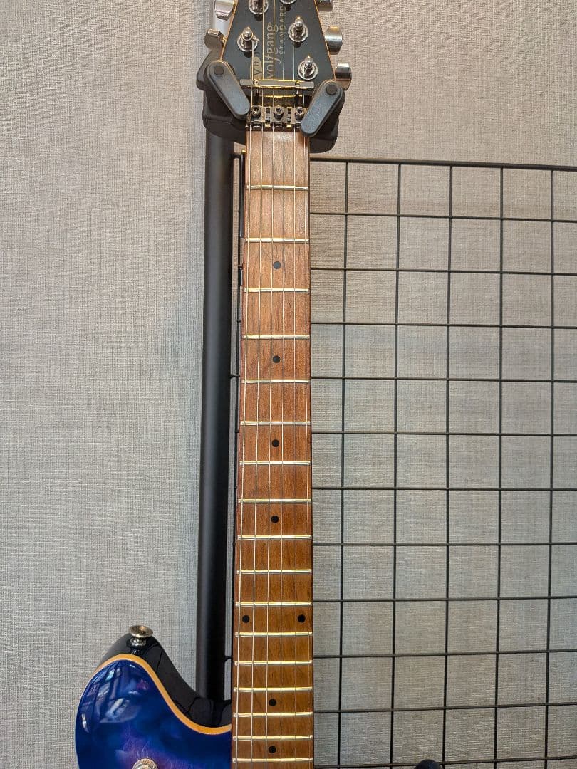ギター EVH Wolfgang WG Standard QM