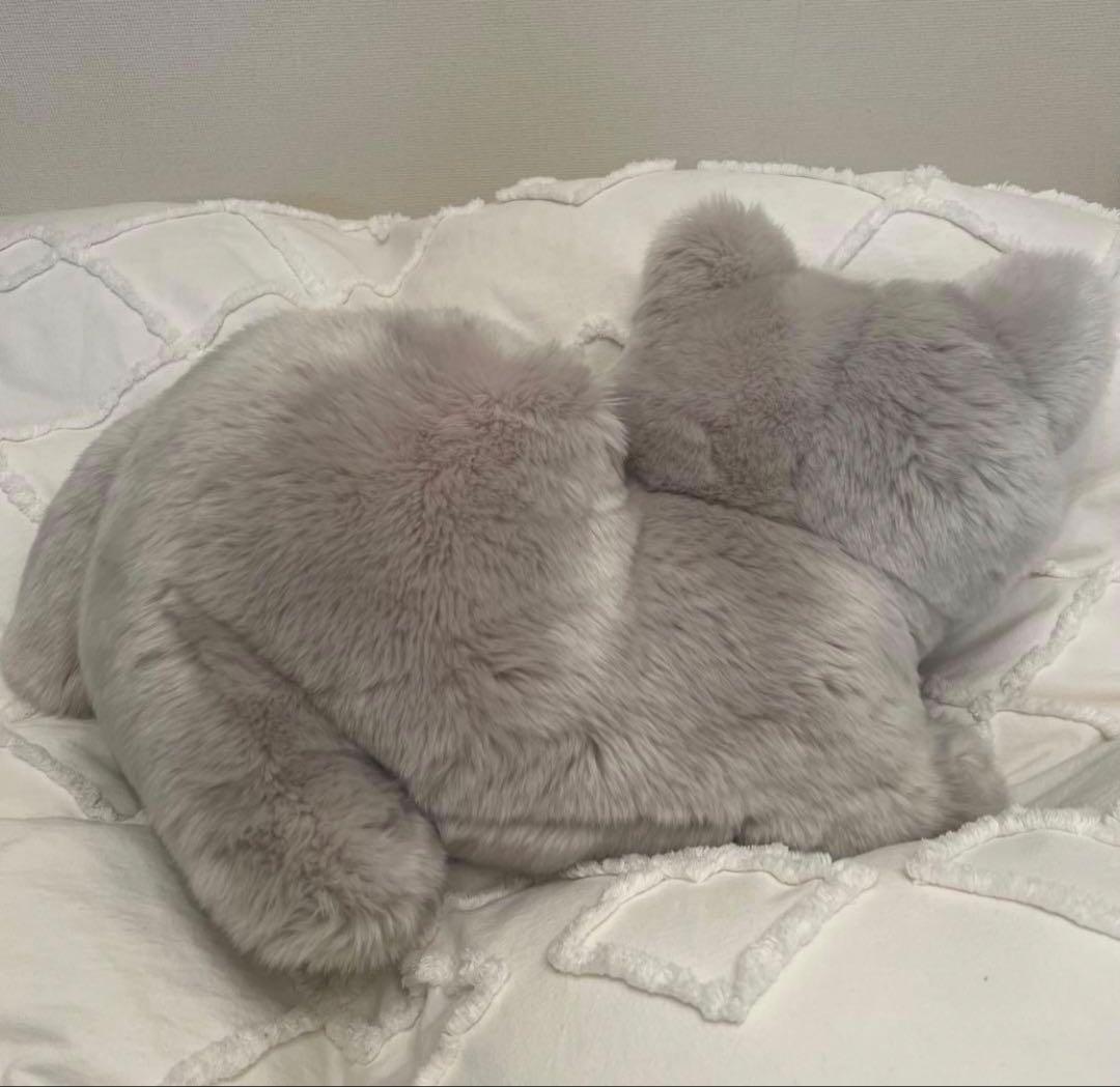米津玄師リーシューねこちゃん