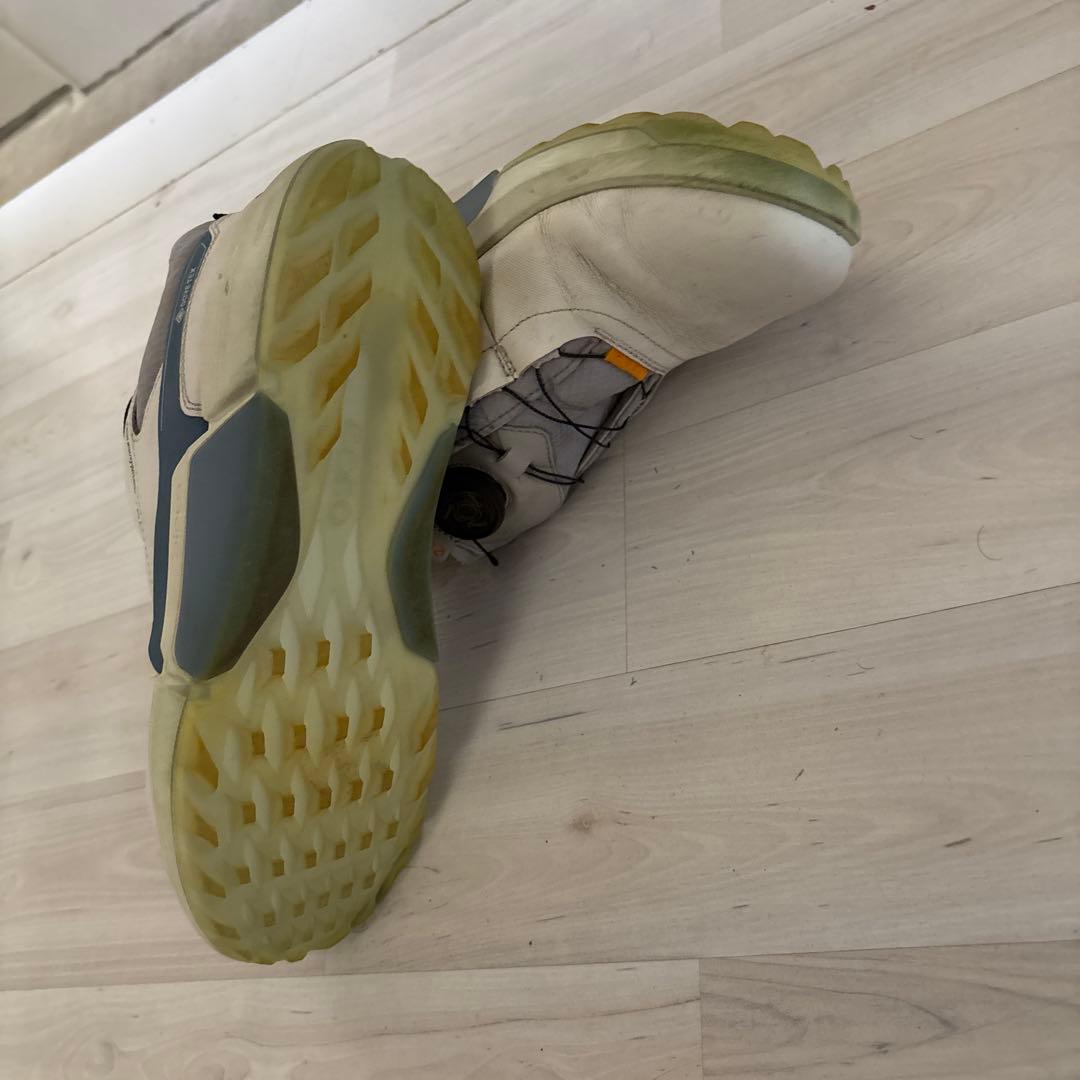 ecco BIOM H4 BOA（型番：108504）