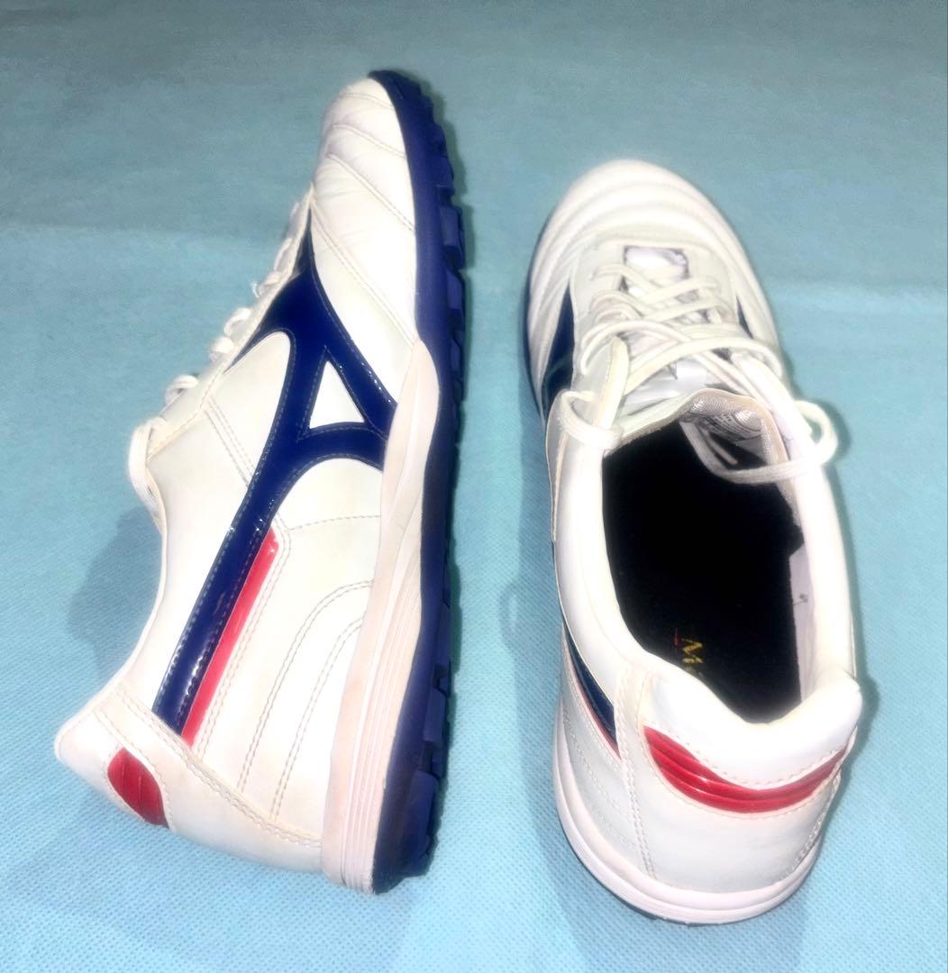 ホコリまみれのカビフライ MIZUNO ミズノ モレリア サラ 2足