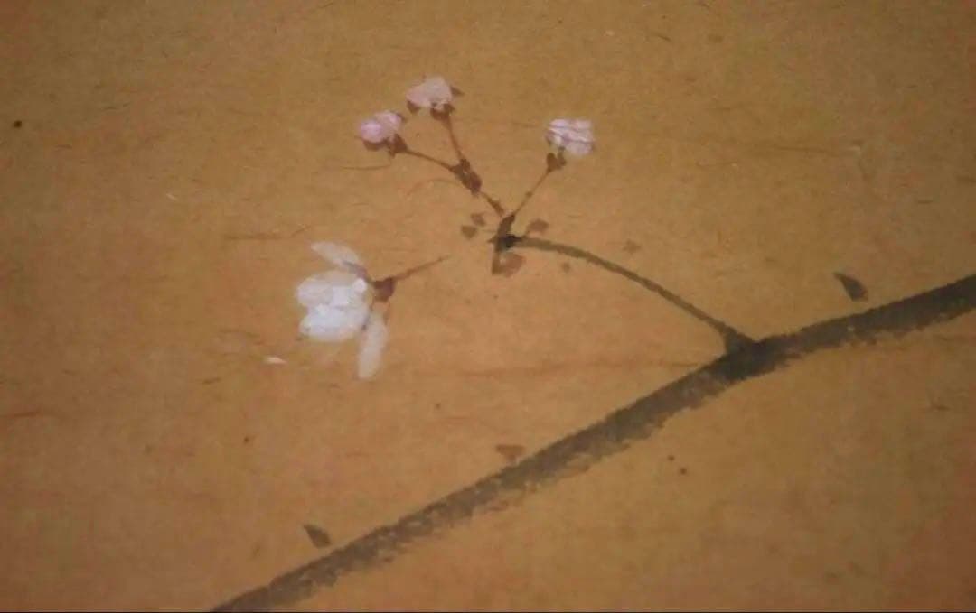 掛軸　深田呉城作　桜花跳鮎図　掛け軸真作