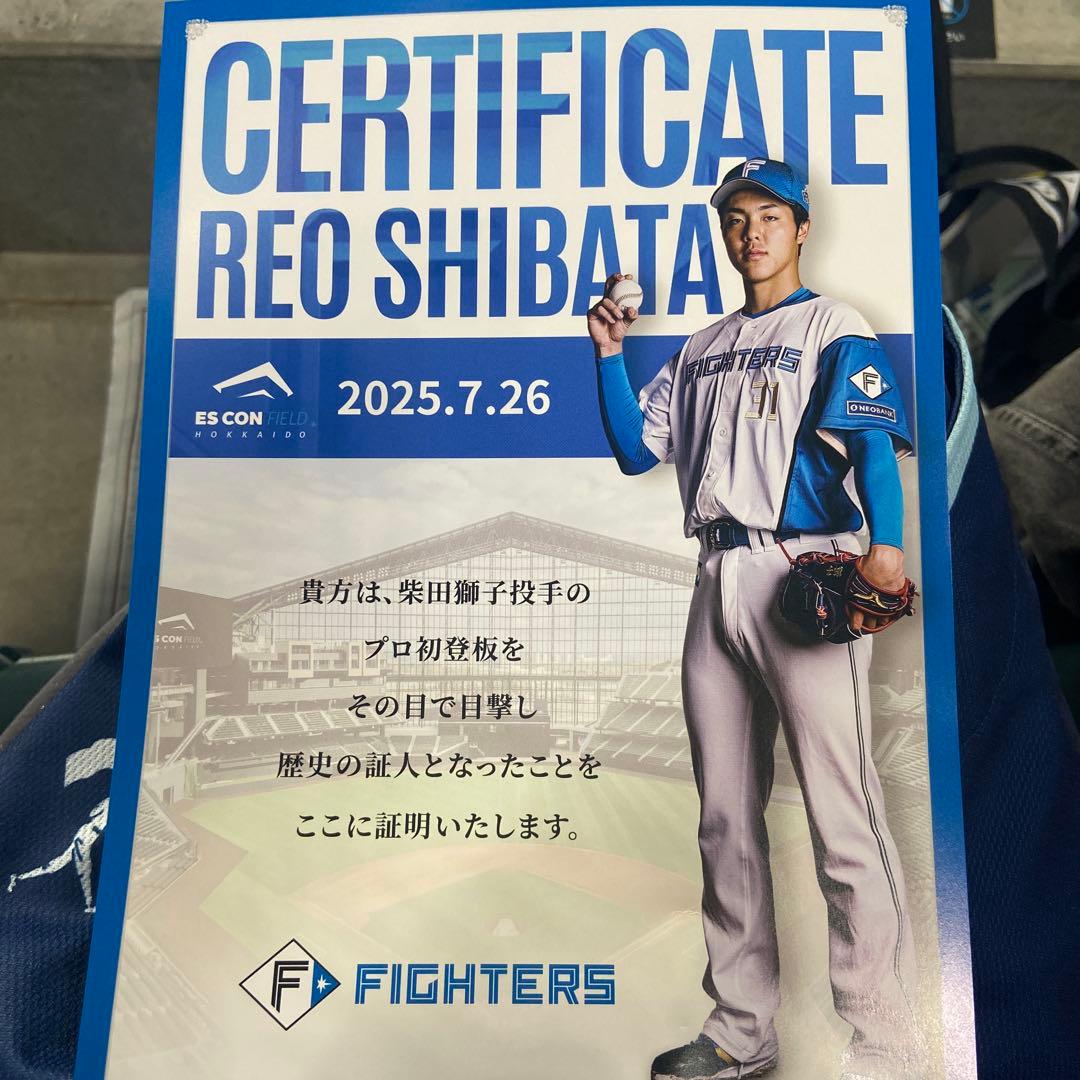 北海道日本ハムファイターズ　WeLoveHokkaido 配布ユニフォーム　2枚
