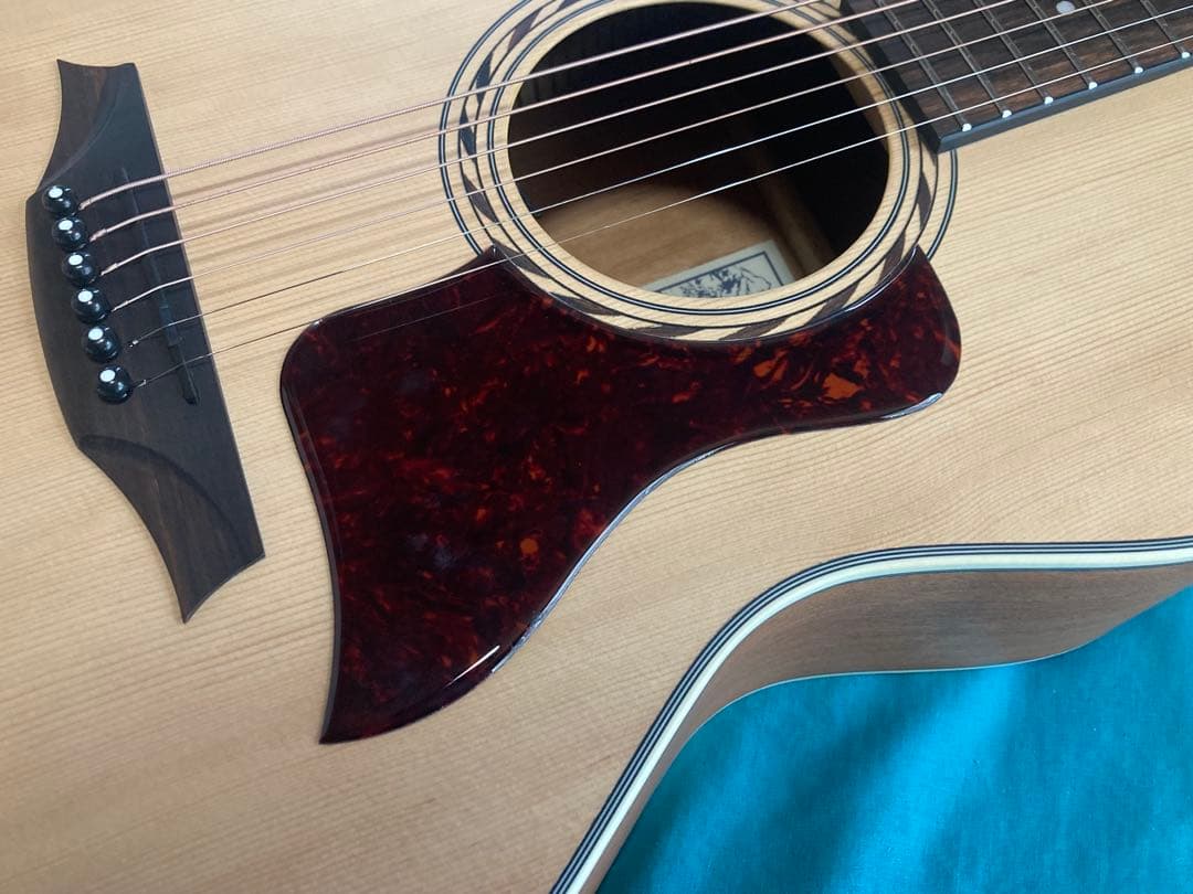 Bromo Guitars BAA2 ブロモギター ピックアップ仕様