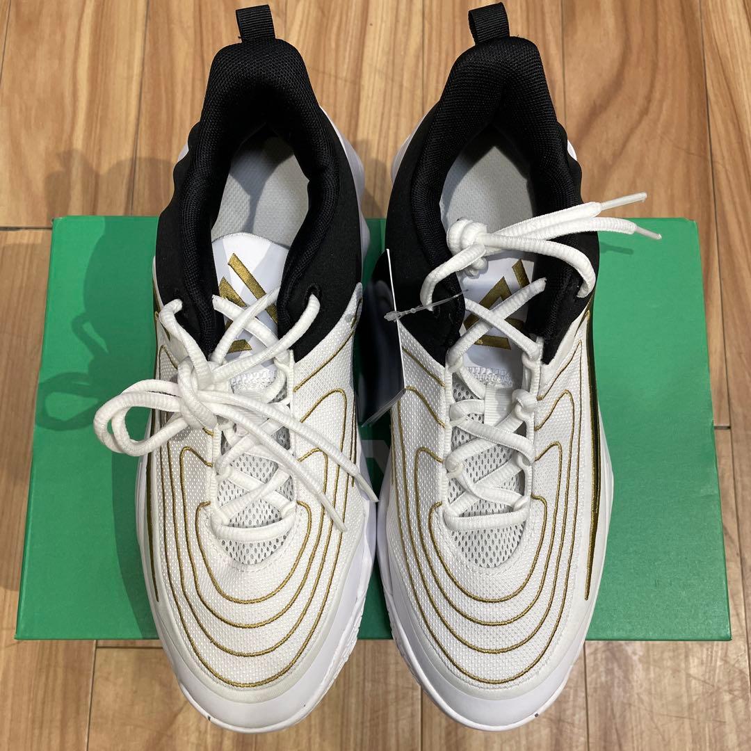シューズ(男性用) NIKE GIANNIS immortality 4 GS