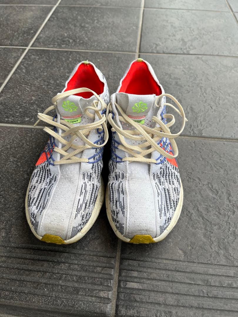 ペガサスターボネクストネイチャー　初代　NIKE