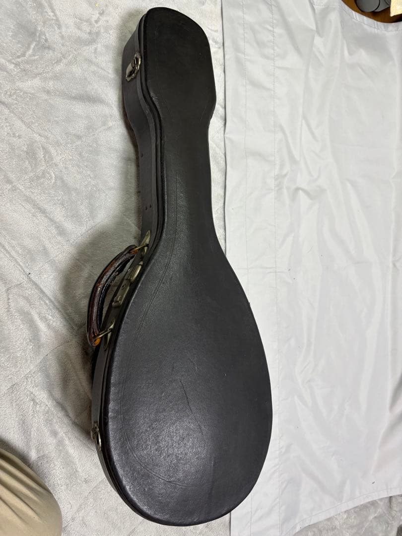 弦楽器 Raffaele Calace Figlio Classico Type 26